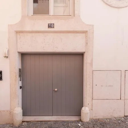 Flh S Bento Minimalist Luminous Flat *