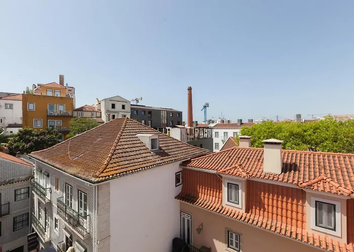 Flh S Bento Minimalist Luminous Flat *